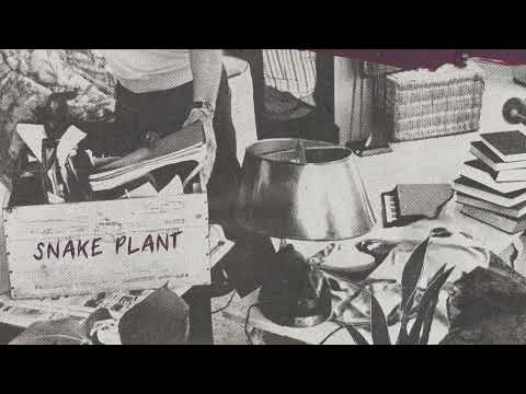 EAZYBAKED x Ranz - Snake Plant