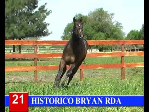 2014-GRAN REMATE HARAS RINCON DEL AGUARA - LOTE 21 - HISTORICO BRYAN RDA