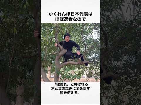 かくれんぼ  写真×一言