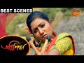 Agnishikha Best Scenes Ep 1 Digital Re Release 24 May 2021 Sun Bangla TV Serial