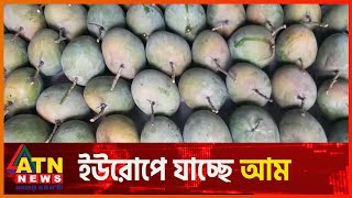 আম রপ্তানি