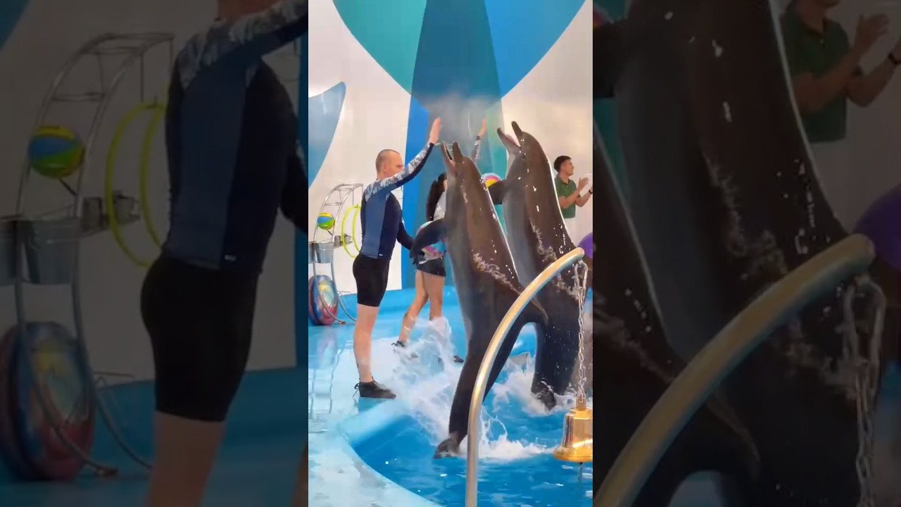 YouTube Short thumbnail