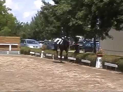 Fia Lou TB French Kiss x Sandro Hit geb 2007 Stute