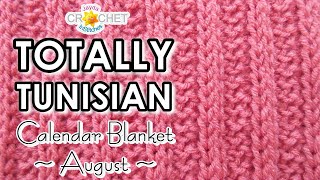 Tunisian Ribbed Stitch - Totally Tunisian Calendar Blanket - August Square 2022