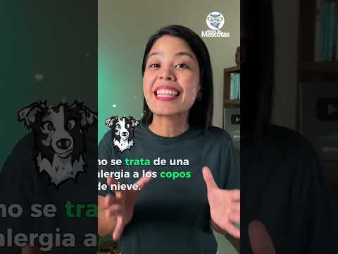 Nariz de Nieve: el Misterio de los Perros con Nariz Rosa