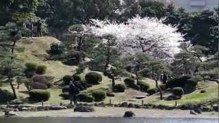 preview picture of video 'shiba-rikyu garden, on sunday afternoon'