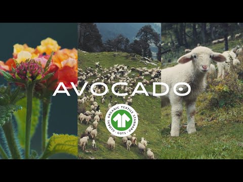 GOTS Organic Certified Wool: Avocado Green Mattress®