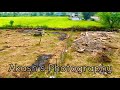 Naina Da Kya Kasoor Slowmotion Nature S Beauty WhatsApp Status Andhadhundh