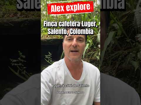 Finca Cafetera Luger, région de Salento, Colombia.