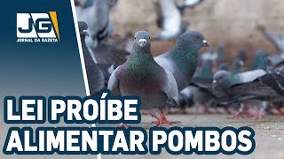 Miniatura do vídeo