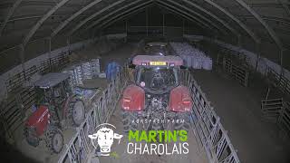 Lower Silesian Voivodeship · Lubawka · Farma Vlček live stream