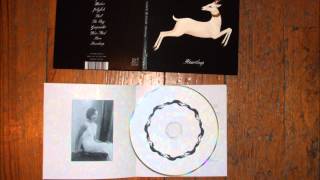 VASHTI BUNYAN  - the boy