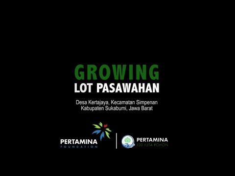 Potensi bawang putih untuk laki-laki Impotensi dan Chi Kung