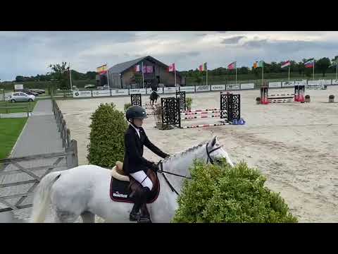 Zukunft Pink - Stute - 2018 geb. (Columbus Z x Rockwell)