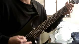 Fallujah - Cerebral Hybridization (guitar cover)
