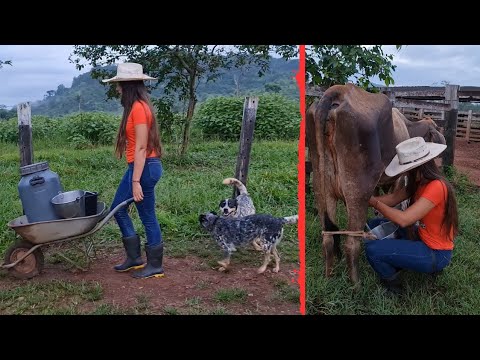 WE WAKE UP EARLY TO PUT THE MILK! Cowgirl in the fight