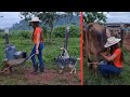 WE WAKE UP EARLY TO PUT THE MILK Cowgirl In The Fight