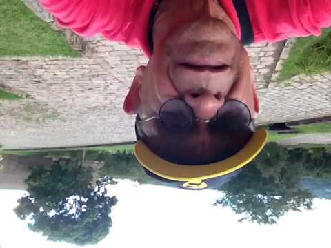 Mosteiro São Bento / Vinhedo SP