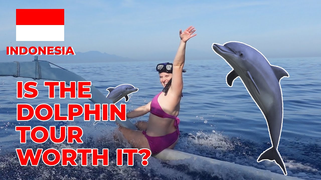 Experience the allure of Lovina's remarkable dolphin watching as an adventurous tourist.