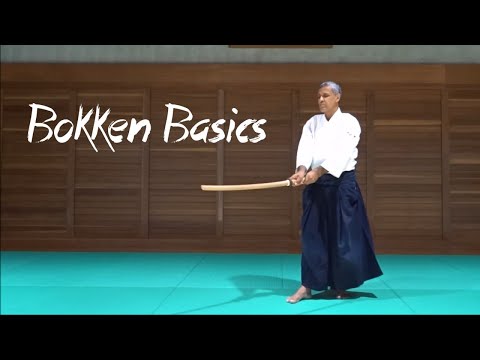 Bokken Basics and 8 Suburi - Introduction to Chiba Sensei's Weapons System #1