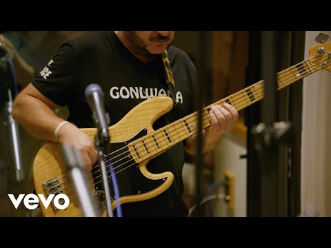 Gondwana - Sentimento Original (Visualizer)