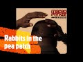 MACEO PARKER - DIAL MACEO FULL ALBUM (2000)