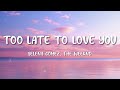 Selena Gomez The Weeknd Too Late To Love You DJ Rivera Remix Lyrics