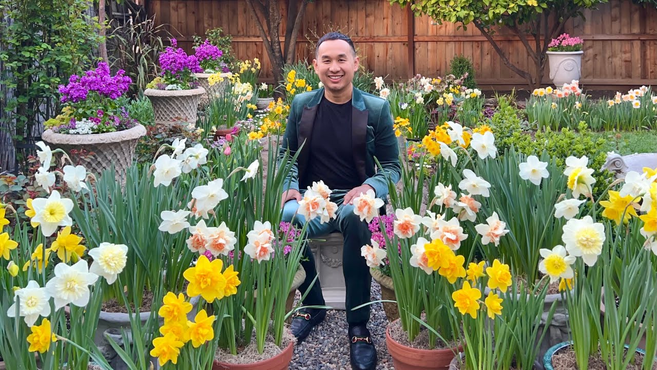 Daffodils, Tulips & Hyacinths in Bloom - March 17, 2025 Garden Tour