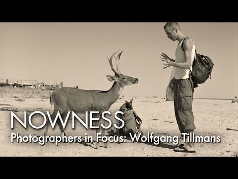 Fotografen im Fokus: Wolfgang Tillmans
