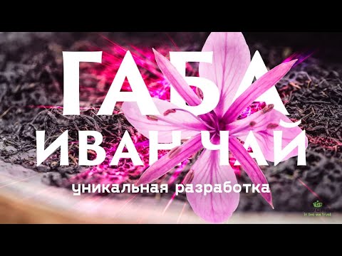 Габа Иван-чай