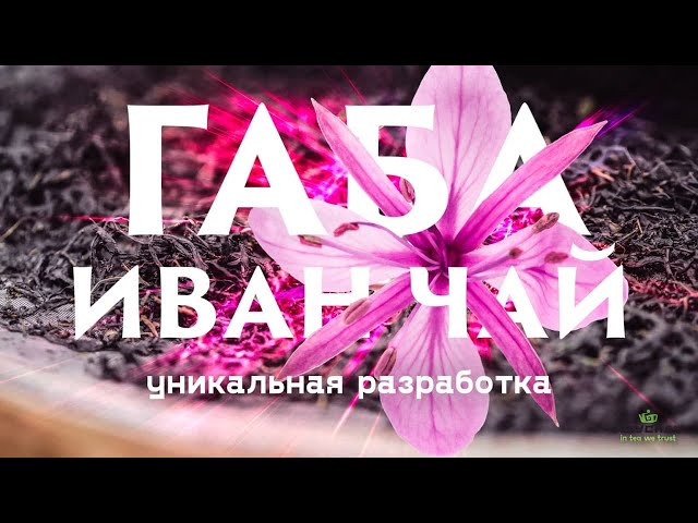 Габа иван-чай. Уникальная разработка