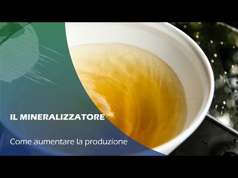 MINERALIZZAZIONE SOSTANZA ORGANICA in ACQUAPONICA