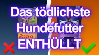 8 Bio-Hundefutter-Marken, die du meiden solltest (und die 4, die wirkl