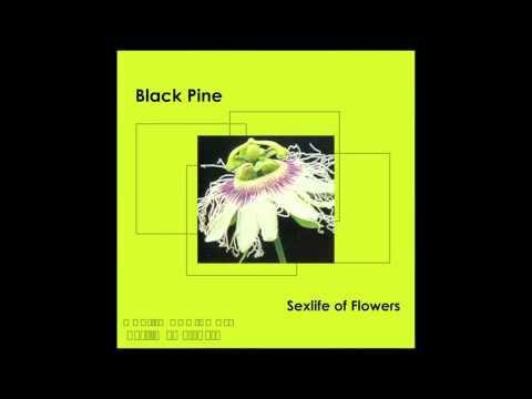 SEXLIFE OF FLOWERS - BLACK PINE