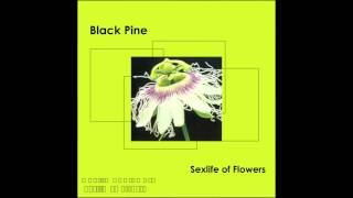 SEXLIFE OF FLOWERS - BLACK PINE