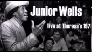 Junior Wells &amp; Phil Guy ~  &#39;&#39;Goin&#39; Down Slow&#39;&#39;  Live 1975