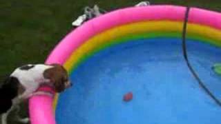Linda goes swimming...sorta