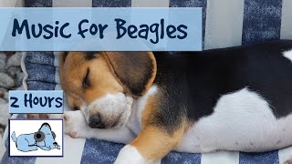 Calming Music for Anxious Beagles and Hounds.