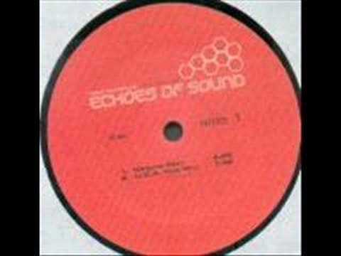 Echoes of Sound - Need Somebody