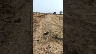  Agricultural Land for Sale in Mouda, Nagpur