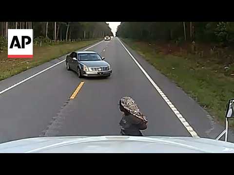 Video shows moment truck driver helps thwart alleged kidnapping