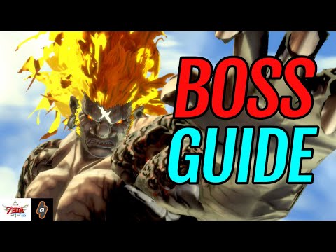 EASY Way to defeat MALICE: Step by Step FINAL Boss Guide | The Legend of Zelda Skyward Sword HD