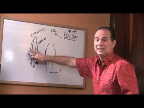 Episodio #411 Las ulceras varicosas