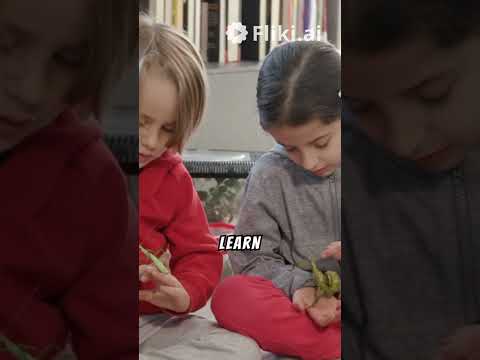 The 7 Laws-of- Wisdom (reflection & guidance) @HugoPoshen