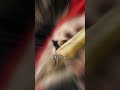 THE MYSTERIOUS SPEAR OF DESTINY  #history #facts  #shorts #short #spear #destiny #viral #fyp