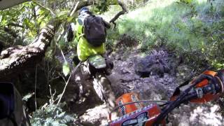 preview picture of video 'Suzuki Trails Amberly Trail Ride - Oct 2013'