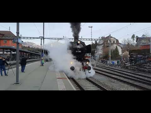 01 202 bei der Ausfahrt in Arth Goldau mit Pfeiffkonzert!