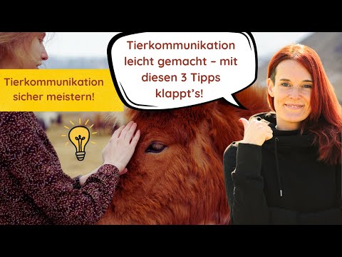 Tierkommunikation leicht gemacht – mit diesen 3 Tipps klappt’s
