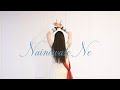 Nainowale Ne Padmaavat Dance Cover Easy Choreography Chamma Arts