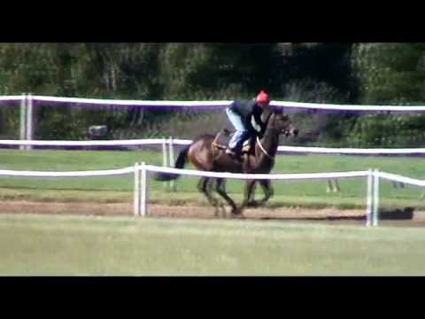 2012-04-03 Lady Tatty